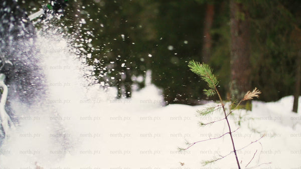 Fatbike Riding Through Snowy Forest in Luleå, Sweden: Winter Adventure