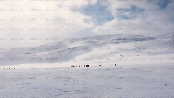 Skiing in Riksgränsen: Group on winter adventure in snowy mountains
