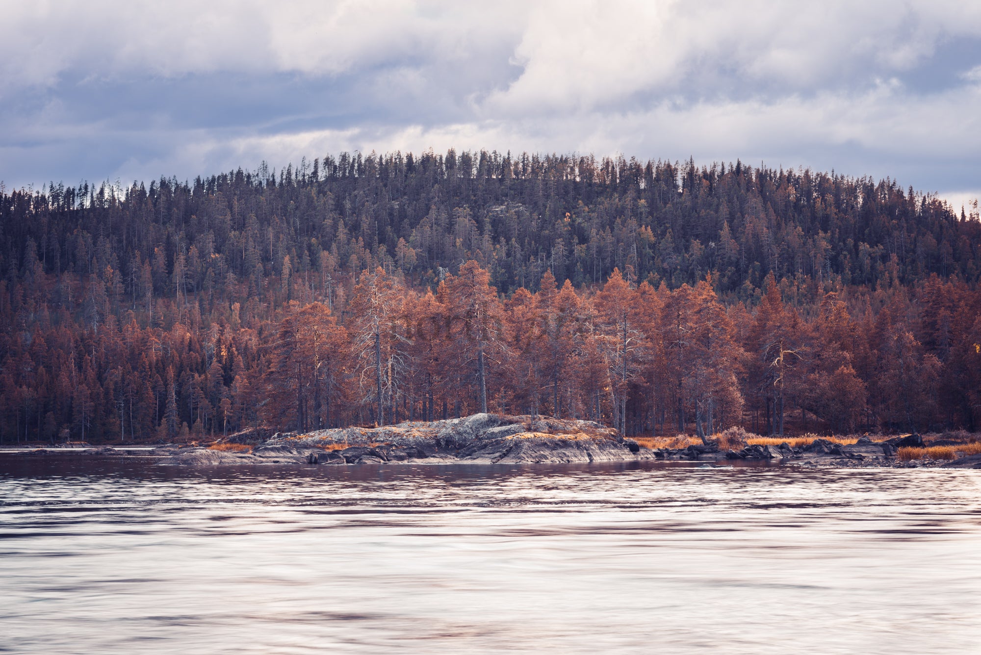 Autumn forest island on rocky river shoreline