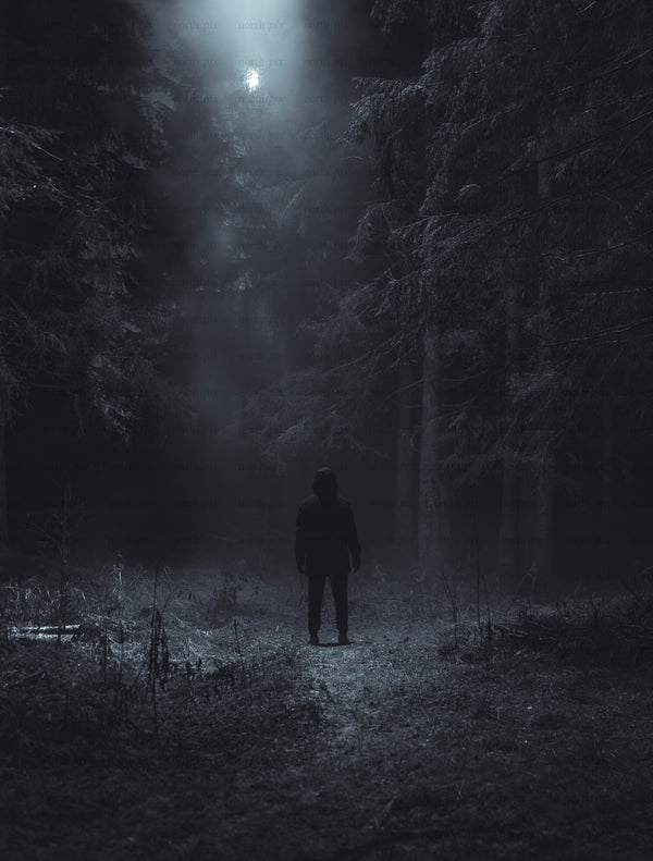 Hooded figure standing in dark forest at night