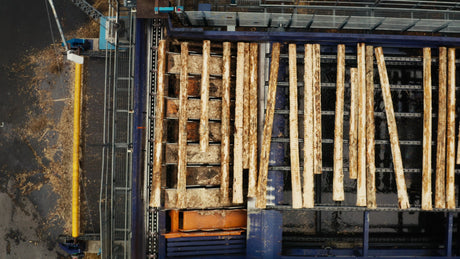 Aerial View of Logs Being Processed at a Lumber Mill