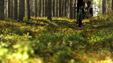 Summer Fat Biking Adventure on a Forest Trail in Lulea, Sweden