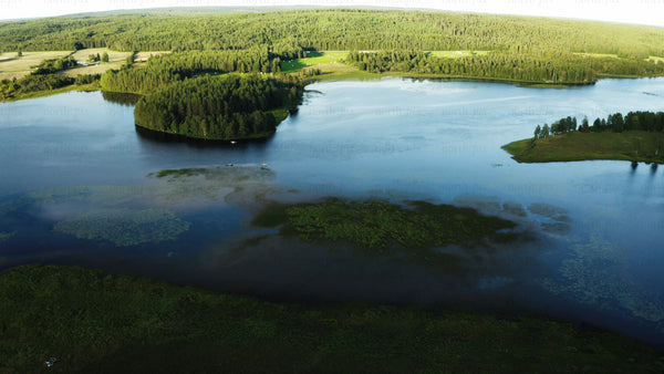 Summer day in Prästholm, Luleå: A drone's eye view of lake and forest