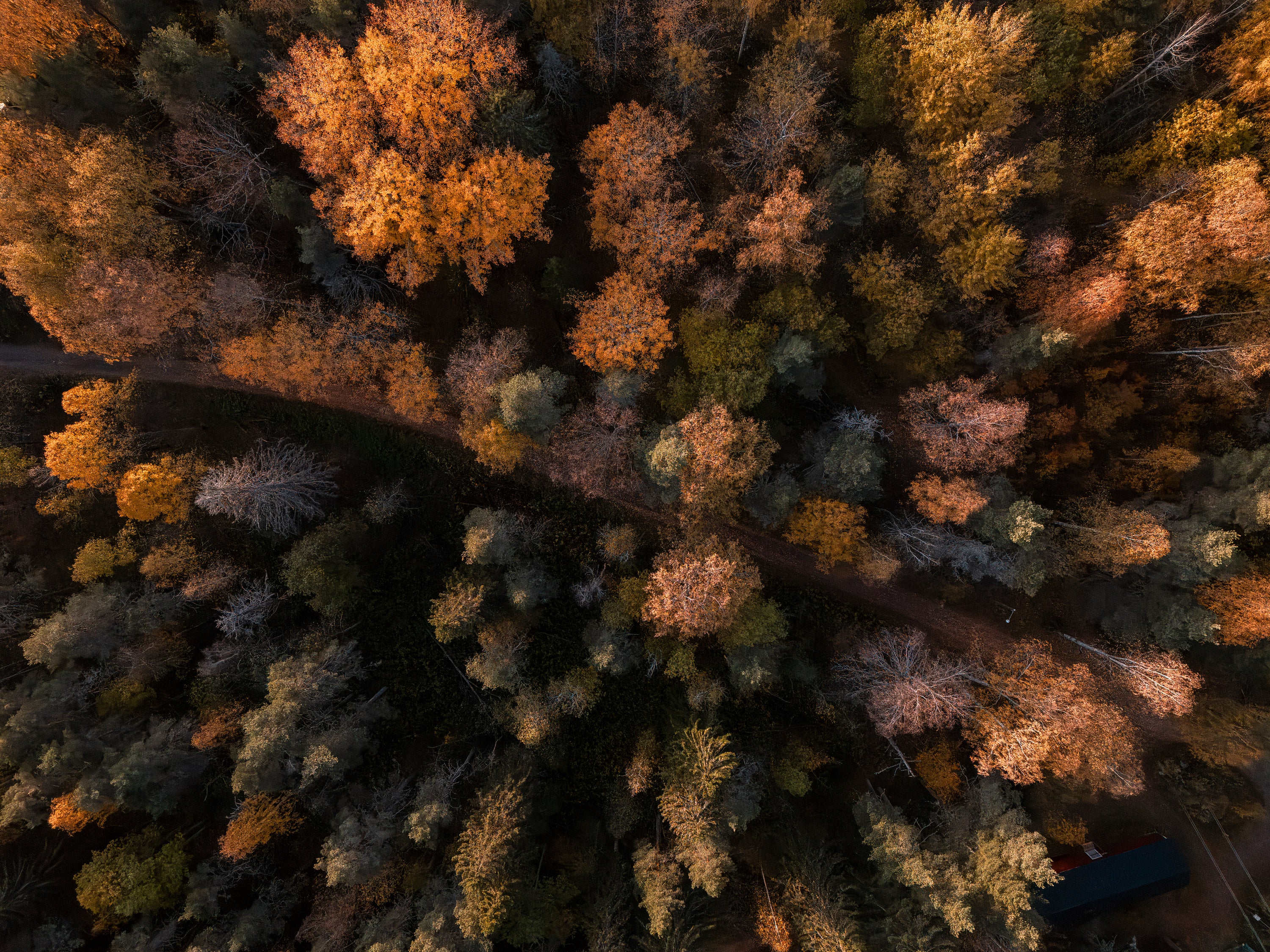 DJI_20241003170048_0031_D-Förbättrat-BR.jpg