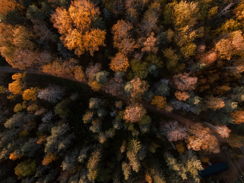 DJI_20241003170048_0031_D-Förbättrat-BR.jpg
