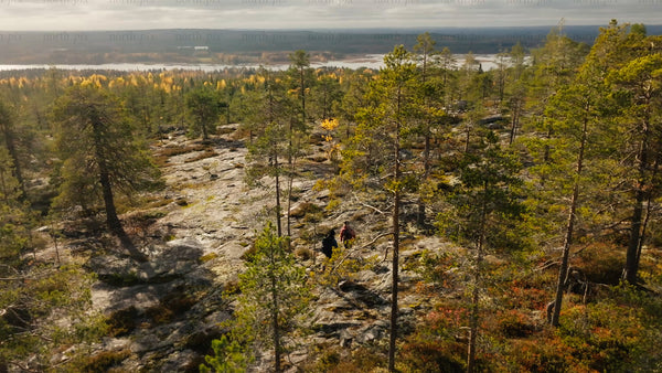 Autumn hike in Luleå: Drone view of two people exploring the forest