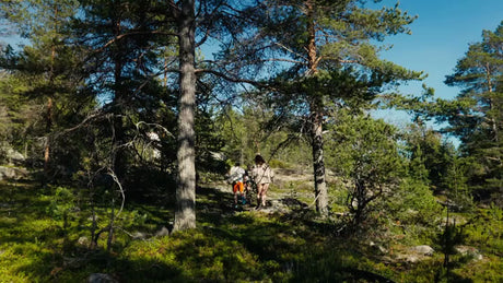 Summer Hike in Luleå Archipelago: Group Exploring Sunny Forest Trail