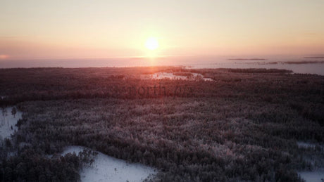 Winter Sunrise Over Frozen Sea and Forest in Lulea, Sweden