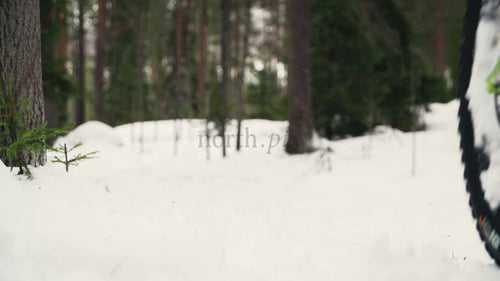 Fatbike genom snöig skogsstig i Luleå, Sverige, vinteräventyr
