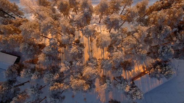 Winter sunset over Gunnarsbyn: Aerial view of snowy forest and frozen lake