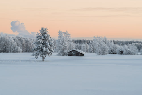 Snow-covered cabin and trees at sunrise in winter