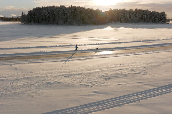 Snowy field near Luleå city center with walker and dog at sunset