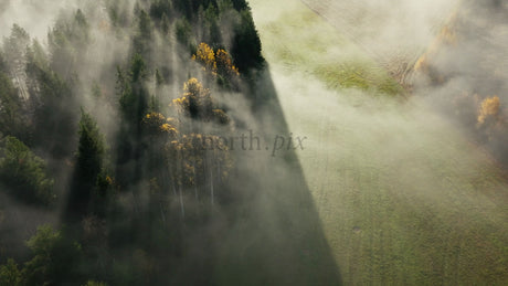 Aerial View of Misty Autumn Forest and Green Field in Foggy Morning