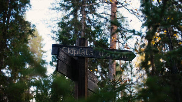 Autumn forest signpost in Luleå: A close-up view