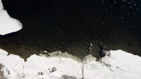 Winter Ice Bathing in Luleå, Sweden: Aerial Drone View of Two People in Icy Water