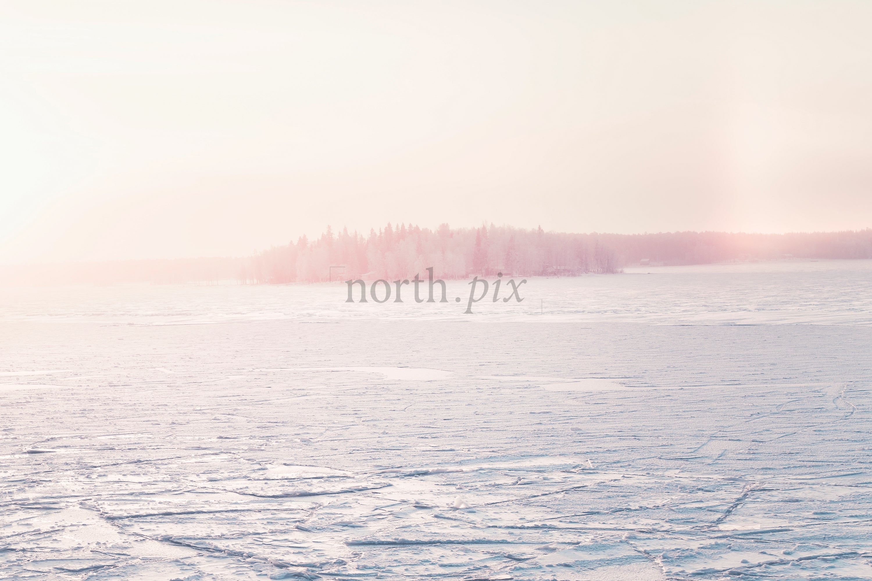 Frozen lake with tree-covered island at sunrise