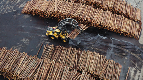 Aerial View of Log Organization With Volvo L180H at Lumber Yard