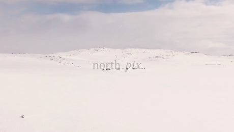 Winter Hiking in Riksgränsen: Group of People Trekking on Snowy Mountain