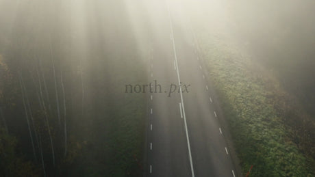 Misty Forest Road: Car Driving Through Autumn Fog