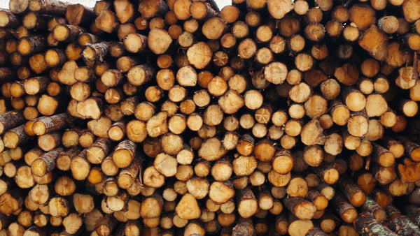 Stack of logs in forest: Timber industry and sustainable forestry