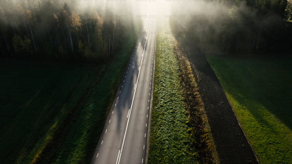 Car driving on misty forest road in autumn