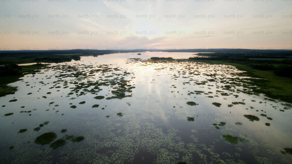 Calm lake at sunset: Aerial view of landscape