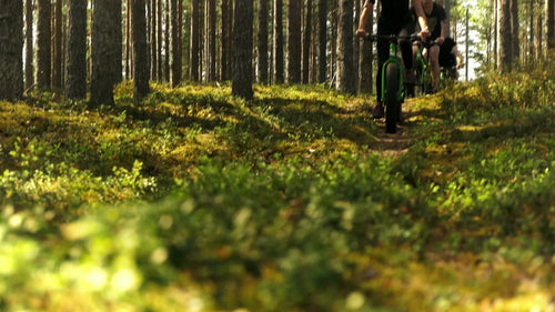 Sommaräventyr med fatbike på skogsstig i Luleå, Sverige