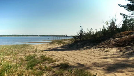 Summer Fat Biking in Lulea: Friends Exploring the Coastal Trails of Sandon