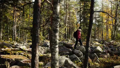 Autumn Hike in Luleå, Sweden: Two Hikers Exploring the Forest