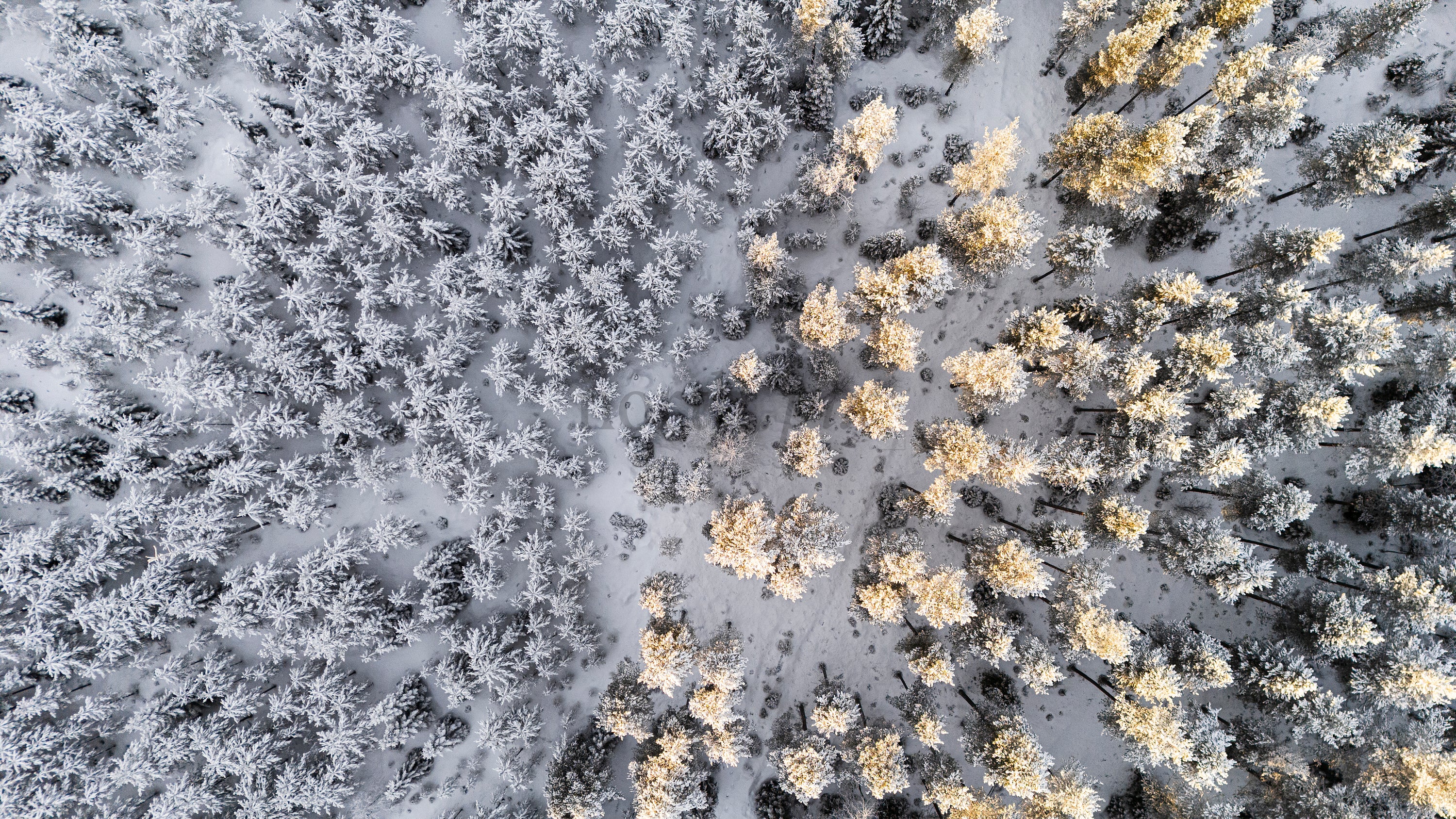 DJI_20260127142413_0008_D.jpg