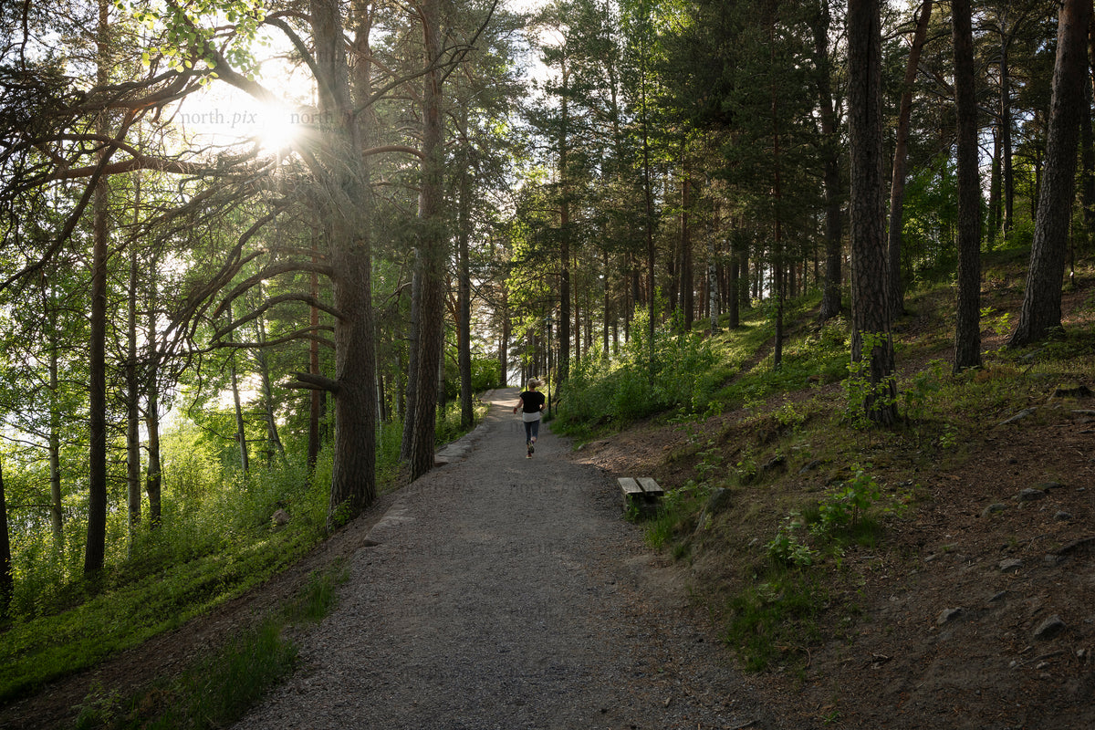 Runner on forest trail in summer evening