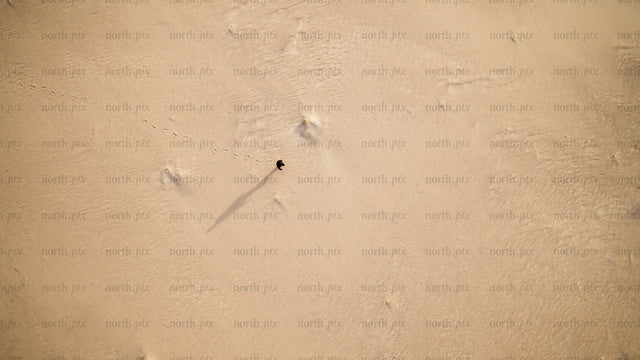 Aerial view of person walking on sandy beach in Skvalpen archipelago, Luleå