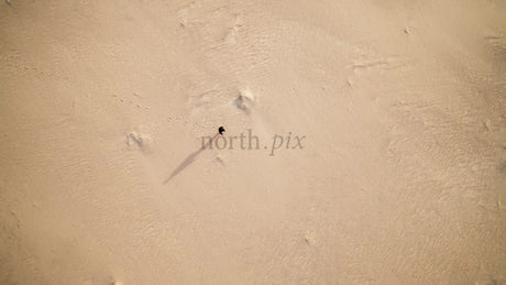 Aerial View of Person Walking on Sandy Beach in Skvalpen Archipelago, Lulea, Sweden