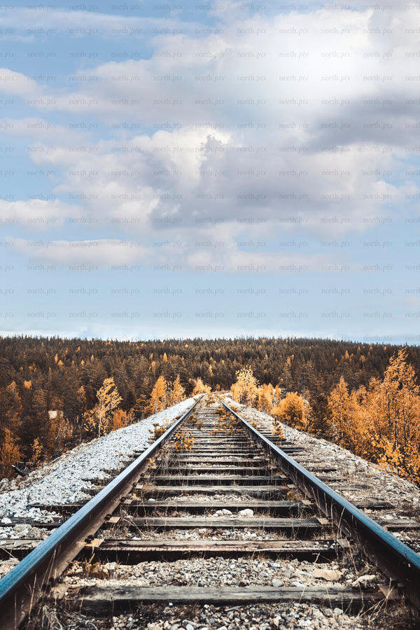 Railway tracks leading through autumn forest under clouds