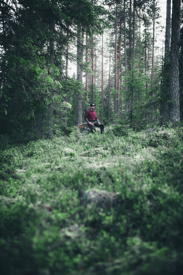 Man sitting on log in pine forest on a summer day