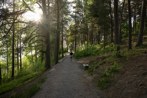 Runner on forest trail in summer evening