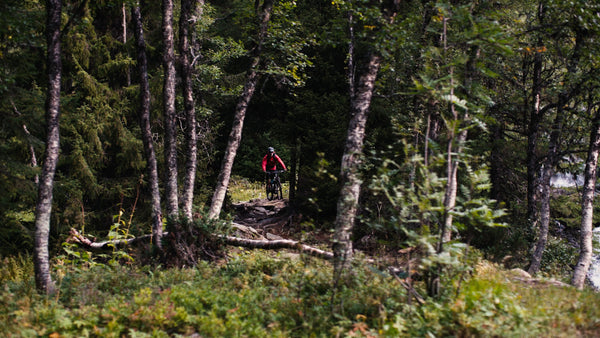 Mountain biker rides downhill trail beside waterfall in forest