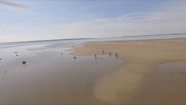 Summer fatbiking adventure on Sandön beach in Luleå