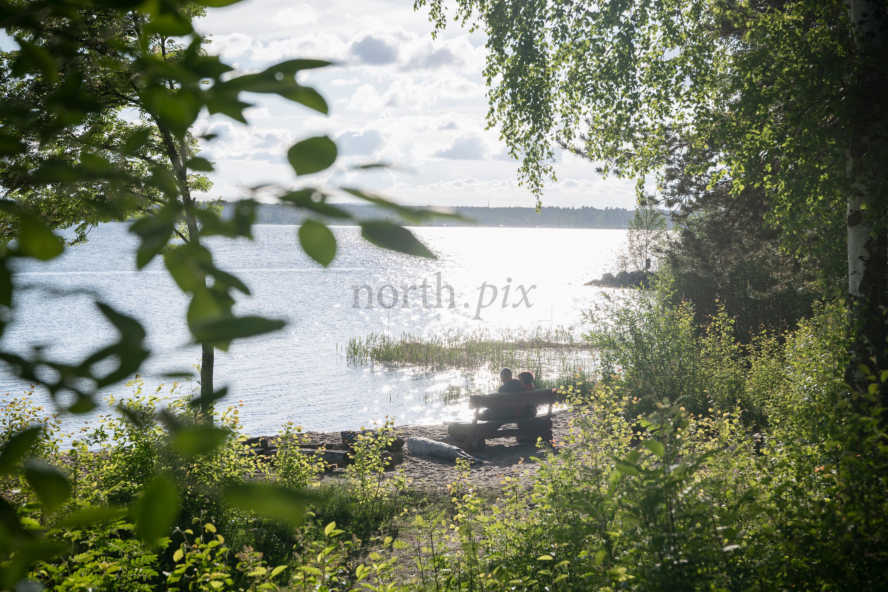 Couple on bench by lake, summer afternoon
