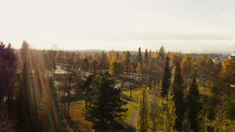 Beautiful Aerial View of Autumn City Landscape with Golden Trees and Sunny Day