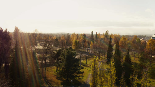 Vacker flygfoto över höststadslandskap med gyllene träd och solig dag