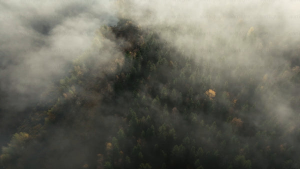 Aerial view of misty autumn forest – moody establishing shot