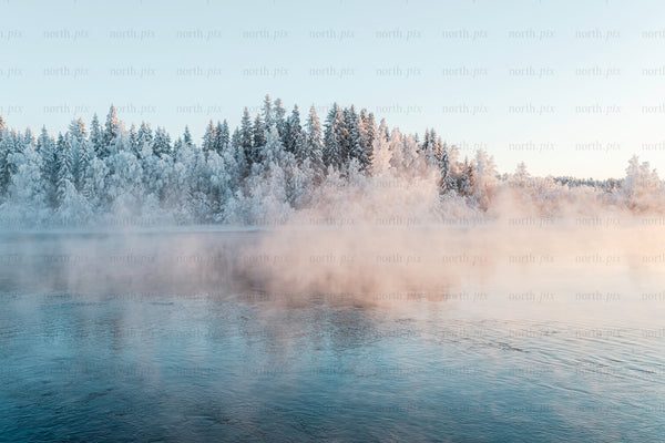 Snow-covered forest and river with morning mist