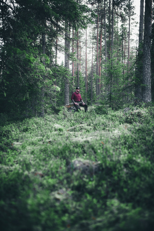Man sitting on log in pine forest on a summer day