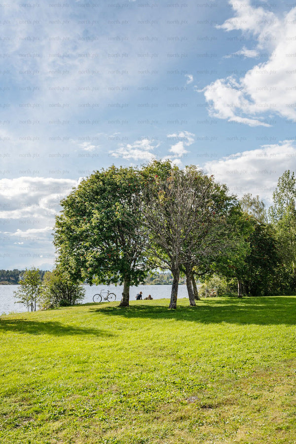 People sitting by lake under trees on summer afternoon