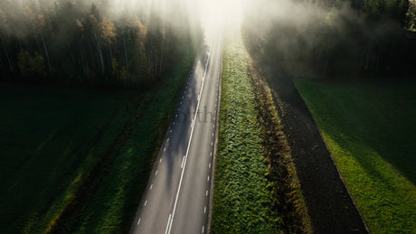 Car Driving on Misty Forest Road in Autumn