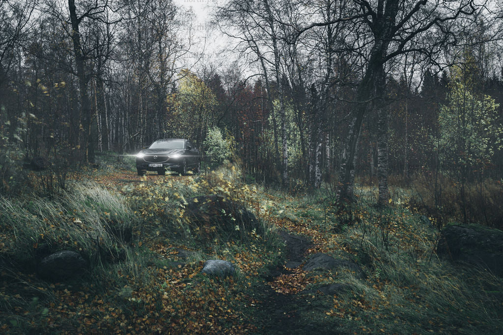 Car with headlights in autumn forest at dusk