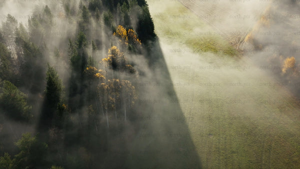 Aerial view of misty autumn forest and green field in foggy morning