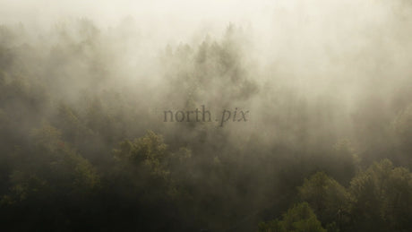 Misty Forest in Autumn: Aerial View During Sunrise