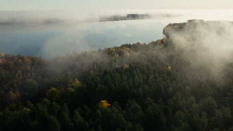 Misty Autumn Forest and Lake Aerial View